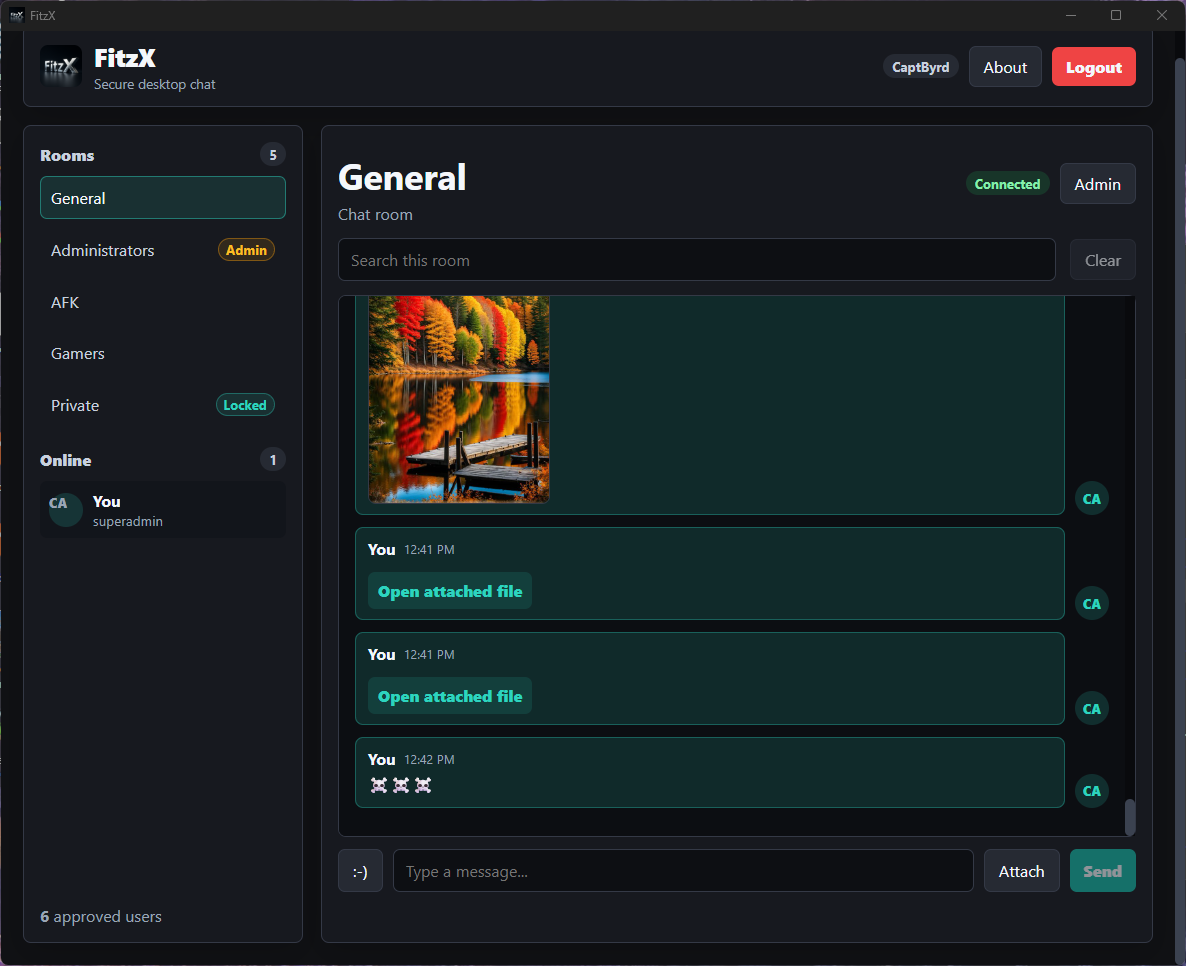 FitzX Chat desktop room with shared image and attached files